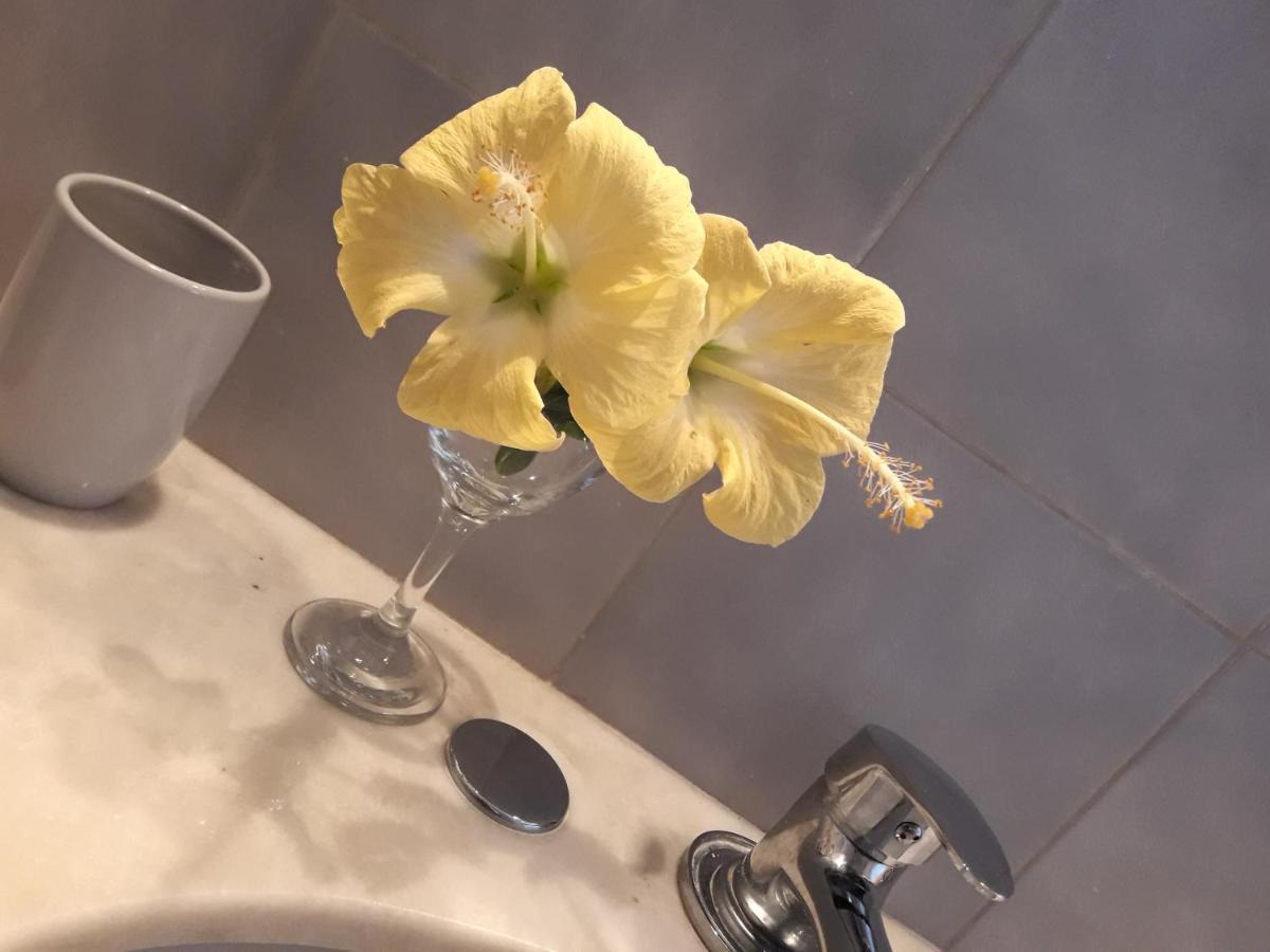 Apto Tipo Loft En Complejo Bahama, A Metros Del Mar Y Zona Muy Tranquila Punta del Este Zewnętrze zdjęcie